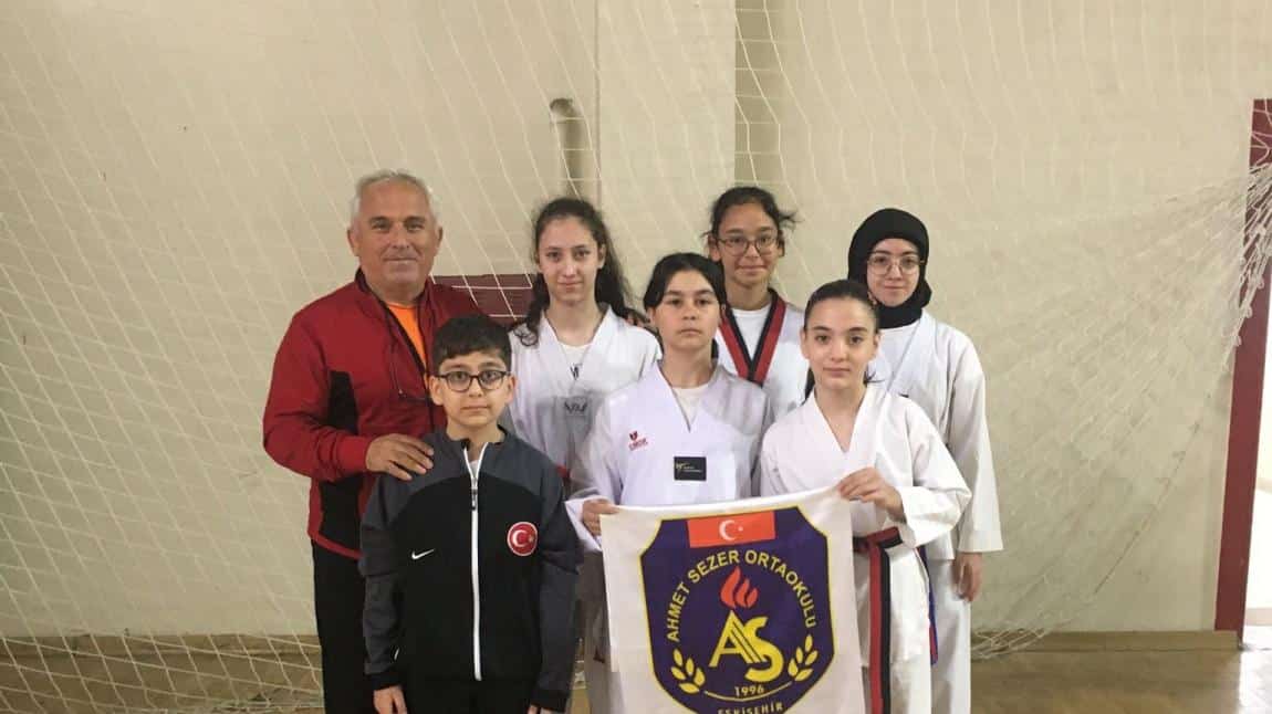 Okullararası Taekwondo Küçük Erkekler ve Küçük Kızlar Eskişehir Müsabakası
